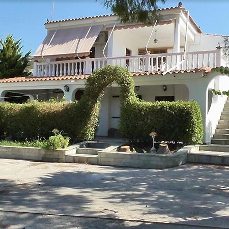 Το Κτήμα Της Ελιάς Του Τάκη Pensionat Paralia Demonias Exteriör bild