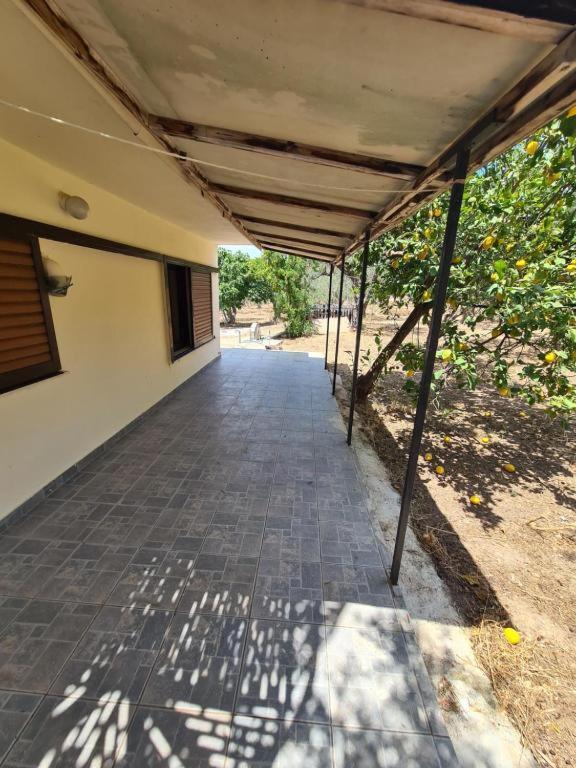 Το Κτήμα Της Ελιάς Του Τάκη Pensionat Paralia Demonias Exteriör bild