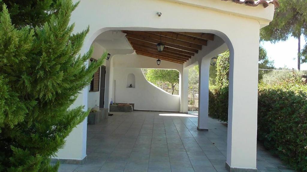 Το Κτήμα Της Ελιάς Του Τάκη Pensionat Paralia Demonias Exteriör bild